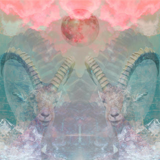 Full Moon in Capricorn