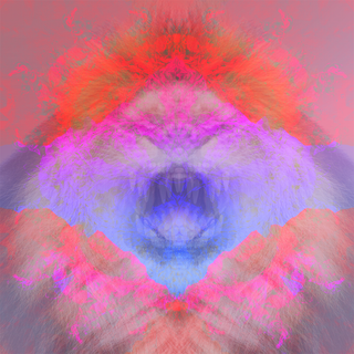 New Moon in Leo